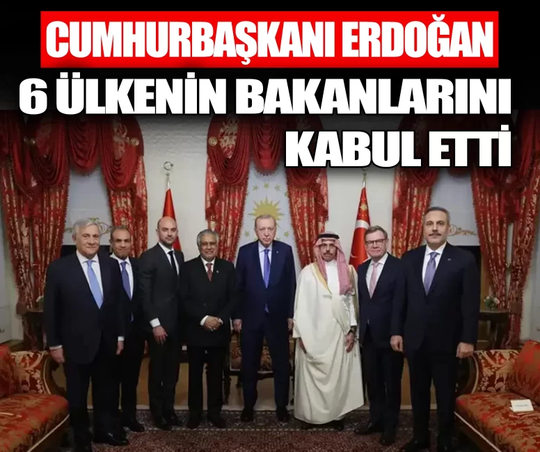 Cumhurbaşkanı Erdoğan 6 ülkenin bakanlarını kabul etti