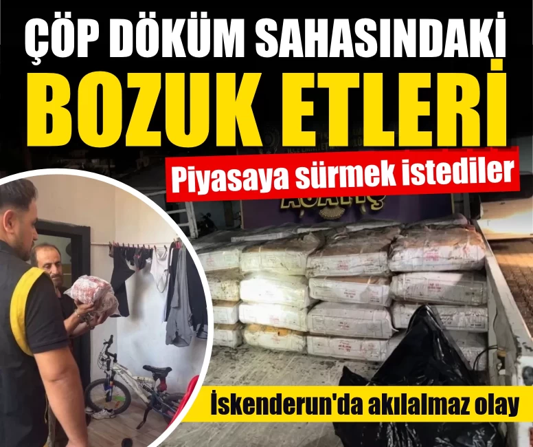 Çöp döküm sahasındaki bozuk etleri piyasaya sürmek istediler