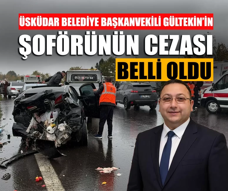Dündar Ziya Gültekin’in şoförünün cezası belli oldu!