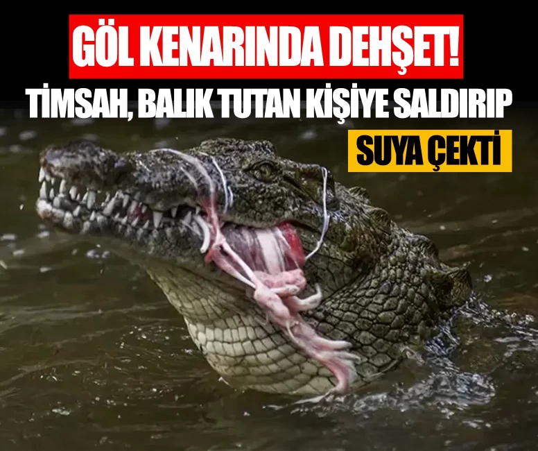 Gölet kenarında dehşet! Timsah balık tutan kişiye saldırıp suya çekti