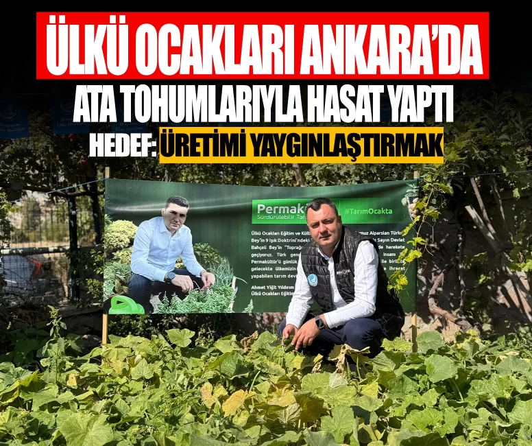 Ülkü Ocakları Ankara'da ata tohumlarıyla hasat yaptı! Hedef: Üretimi yaygınlaştırmak