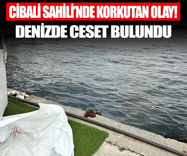 Fatih Cibali Sahili’nde korkutan olay: Denizde erkek cesedi bulundu