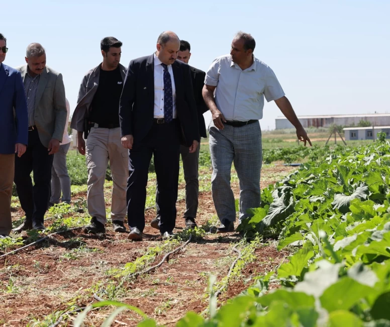 Şanlıurfa Belediye Başkanlığı