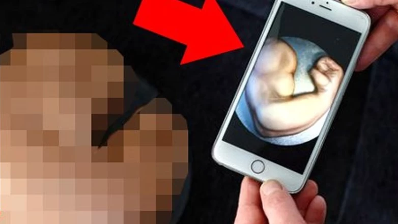 Pazu şeklinde pasta sipariş etmişti! Gelen ürünle şoke oldu