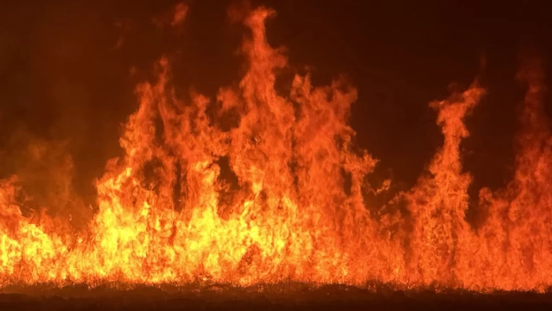 Kuş cenneti Nehil Sazlığı'nda yangın!