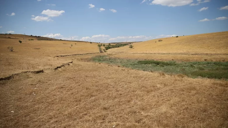 Besiciler, meralardaki hayvanlarına tankerlerle su taşıyor