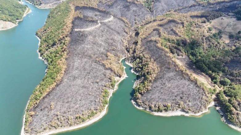 Kocaeli'de yangın sonrası yürek burkan manzara