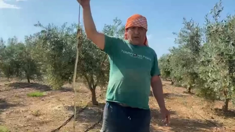 Karpuz serasına girdi, gördüğü manzara karşısında donakaldı: 'Bir saniyede öldürür!'