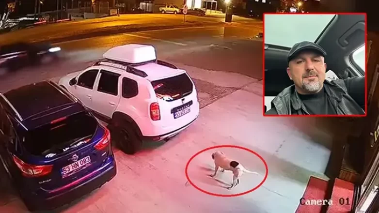 Köpeğe çarpmamak için manevra yapan sürücü öldü!