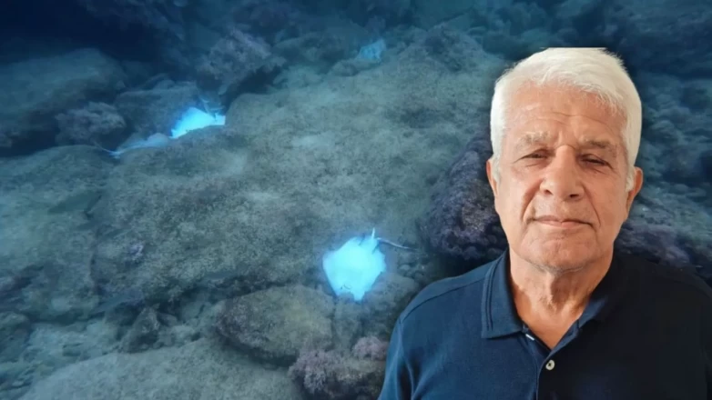 Antalya falezlerinde korkutan manzara: Onlarca ölü vatoz balığı kıyıya vurdu!
