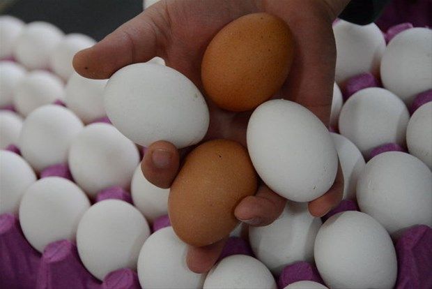 Yumurtaya öyle bir şey yaptı ki! Şaşıracaksınız 8