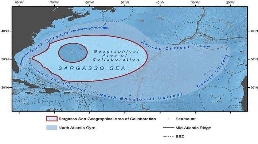 İnanılmaz ama yüzde yüz doğru bilgiler 13