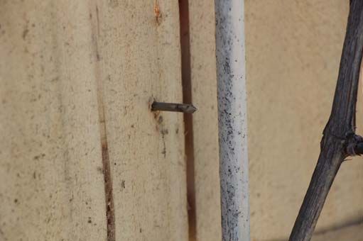 Babası ‘boş iş’ dedi, pes etmedi! El pompası ile.. 4