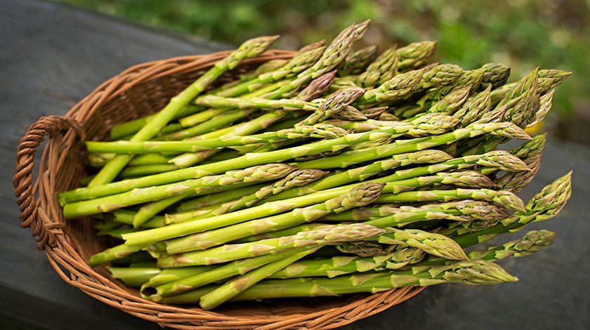 Sakın bu hataları yapmayın! Paranız çöpe gitmesin... 19