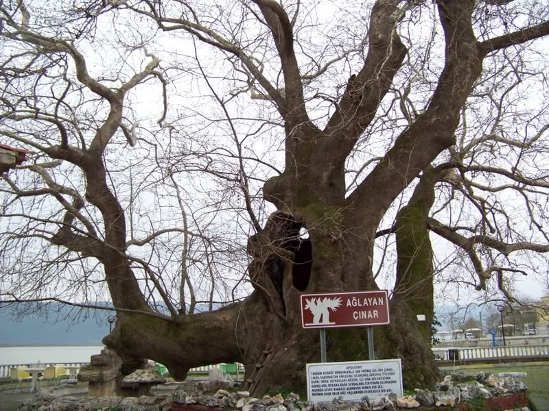Anadolu'muzun Cennetleri 37