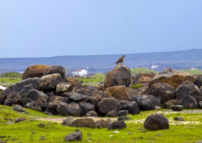 Yüzlercesi Diyarbakır'ı istila etti! 2