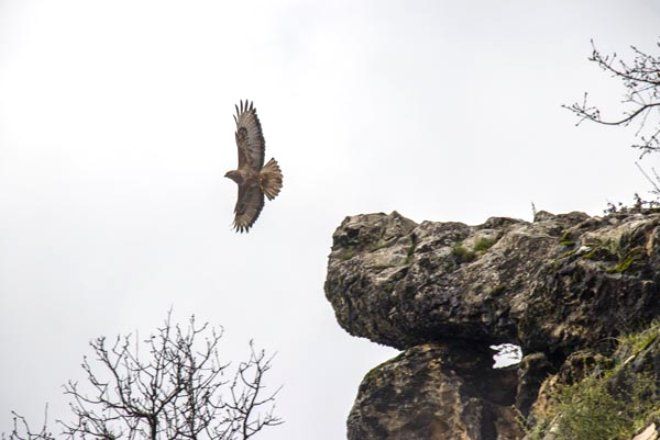 Yüzlercesi Diyarbakır'ı istila etti! 7
