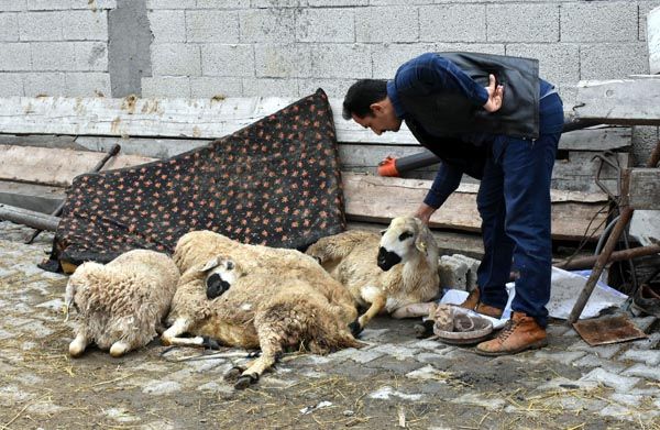 Bulduklarını götürüyorlar! 'Elimiz kolumuz bağlı, tek tek...' 2