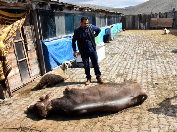 Bulduklarını götürüyorlar! 'Elimiz kolumuz bağlı, tek tek...' 8