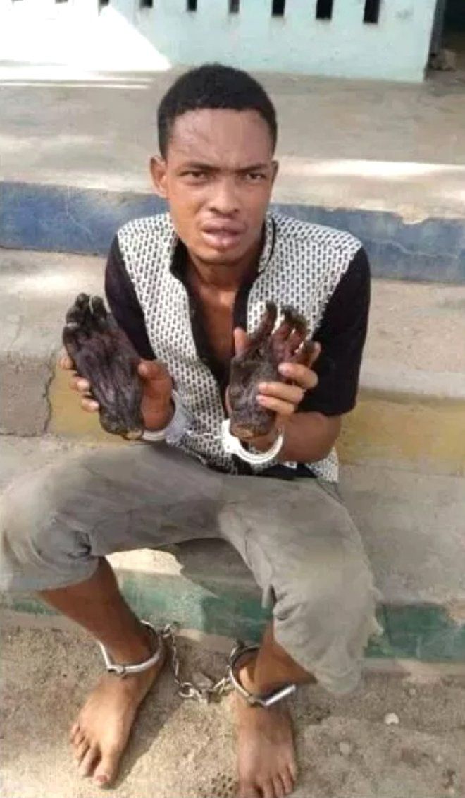 Elindeki poşetten kurutulmuş insan elleri çıktı! İtirafı ise şoke etti 2