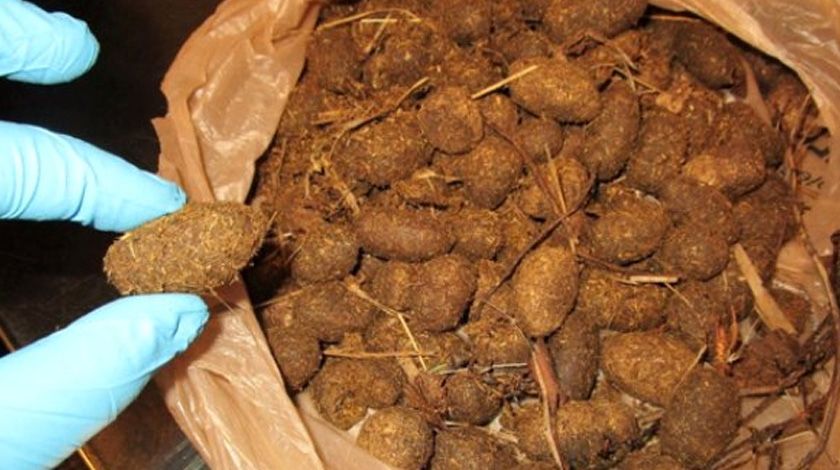 Valizinden çıkan şey yok artık dedirtti 1