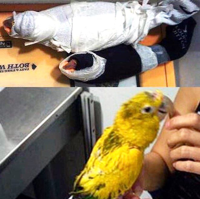 Valizinden çıkan şey yok artık dedirtti 14