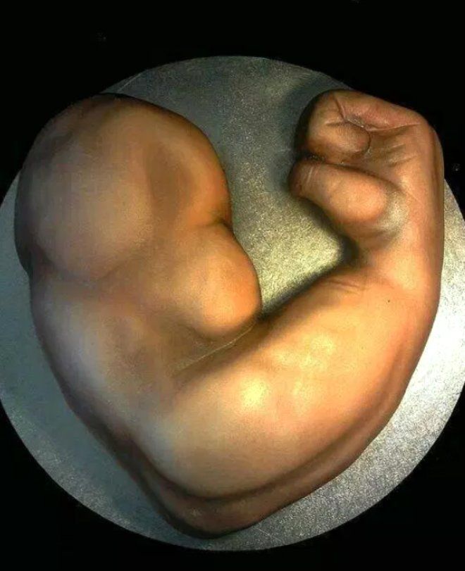 Pazu şeklinde pasta sipariş etmişti! Gelen ürünle şoke oldu 2