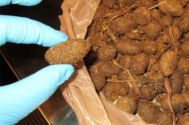 Valizinden çıkan şey yok artık dedirtti 2