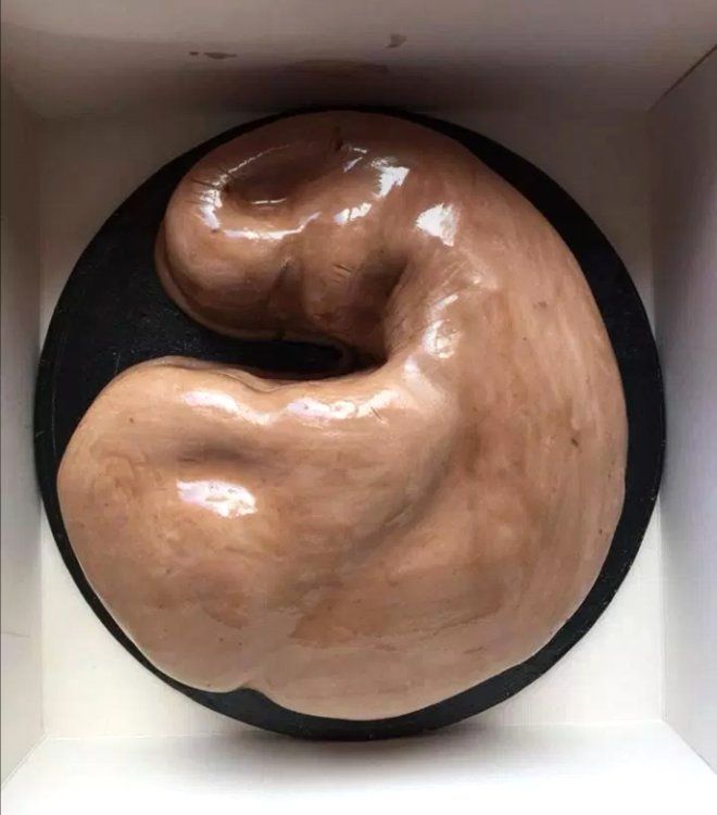 Pazu şeklinde pasta sipariş etmişti! Gelen ürünle şoke oldu 3