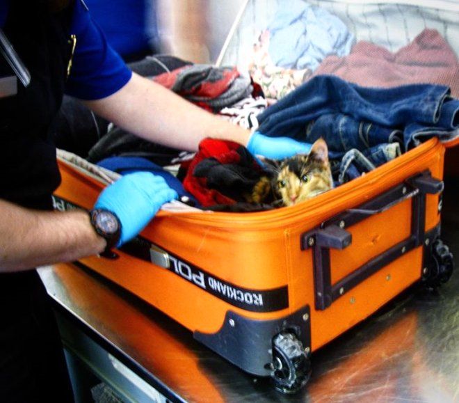 Valizinden çıkan şey yok artık dedirtti 6