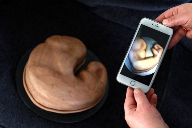 Pazu şeklinde pasta sipariş etmişti! Gelen ürünle şoke oldu 6