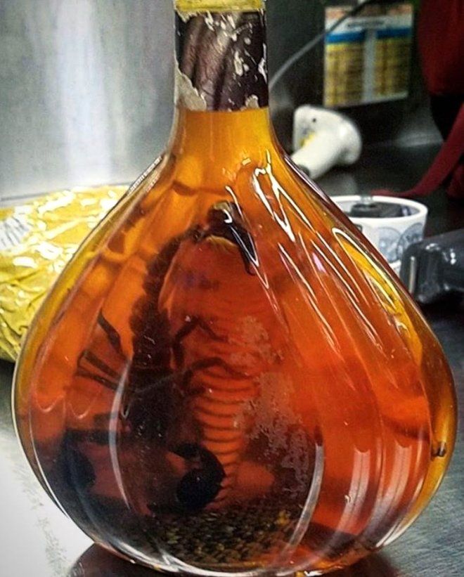 Valizinden çıkan şey yok artık dedirtti 8