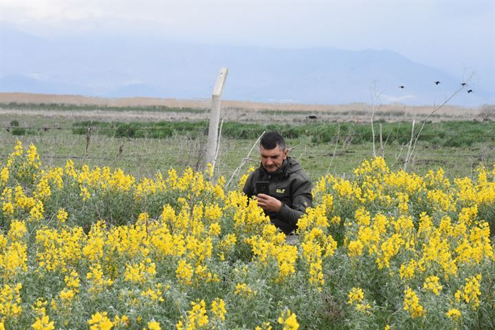 'Eber sarısı'nı koparmaya rekor ceza! 1