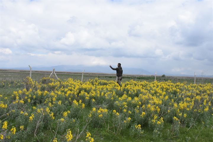 'Eber sarısı'nı koparmaya rekor ceza! 2