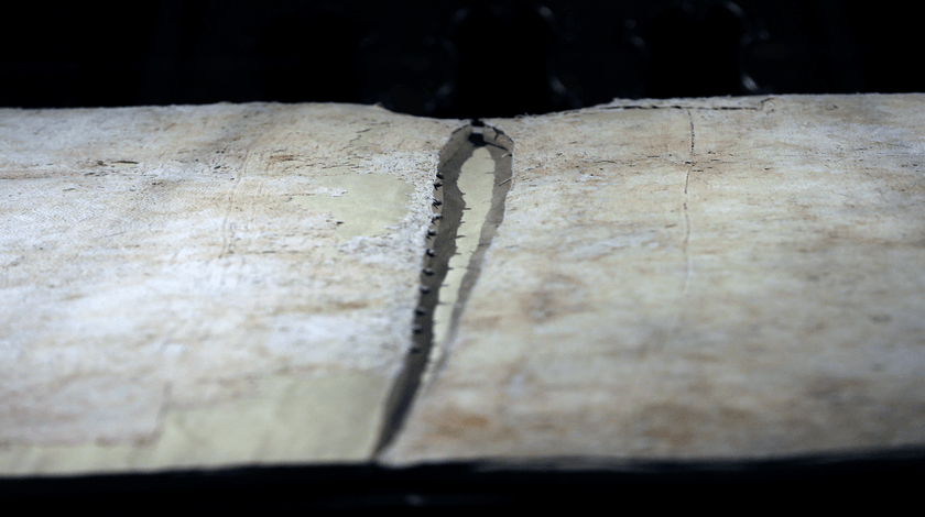 Hırka-i Şerif ziyarete açıldı 12