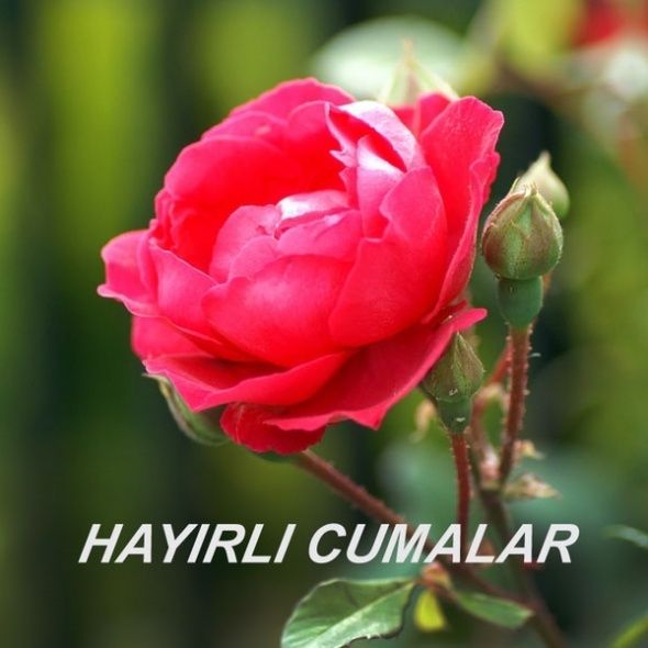 En güzel resimli Cuma mesajları 30