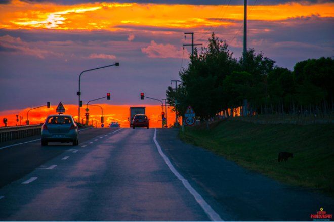 Herkes memleketinde yaşasaydı hangi şehrin nüfusu kaç olurdu? 56