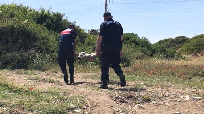 Denizde gördüğü manzara karşısında şoke oldu 9