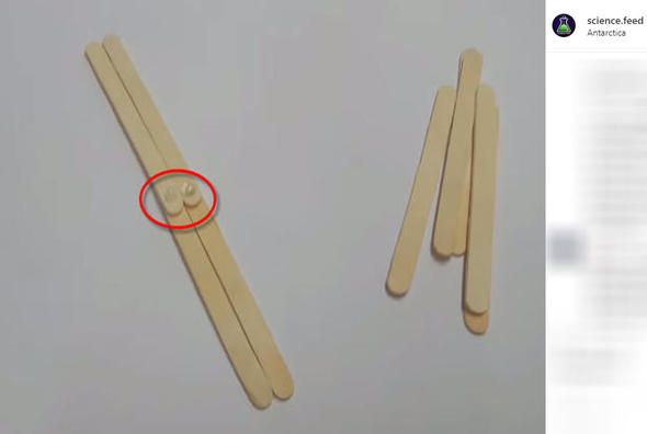 İngiliz öğrenci çubukla öyle bir şey yaptı ki... Görenler şaştı kaldı 6