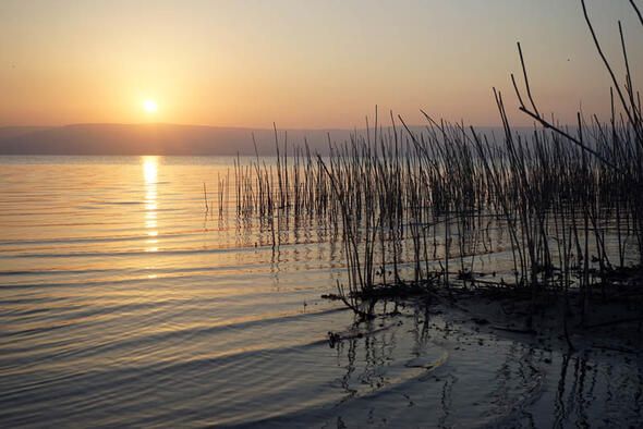 Hangi ülkede daha çok Türk var? İşte o liste... 20