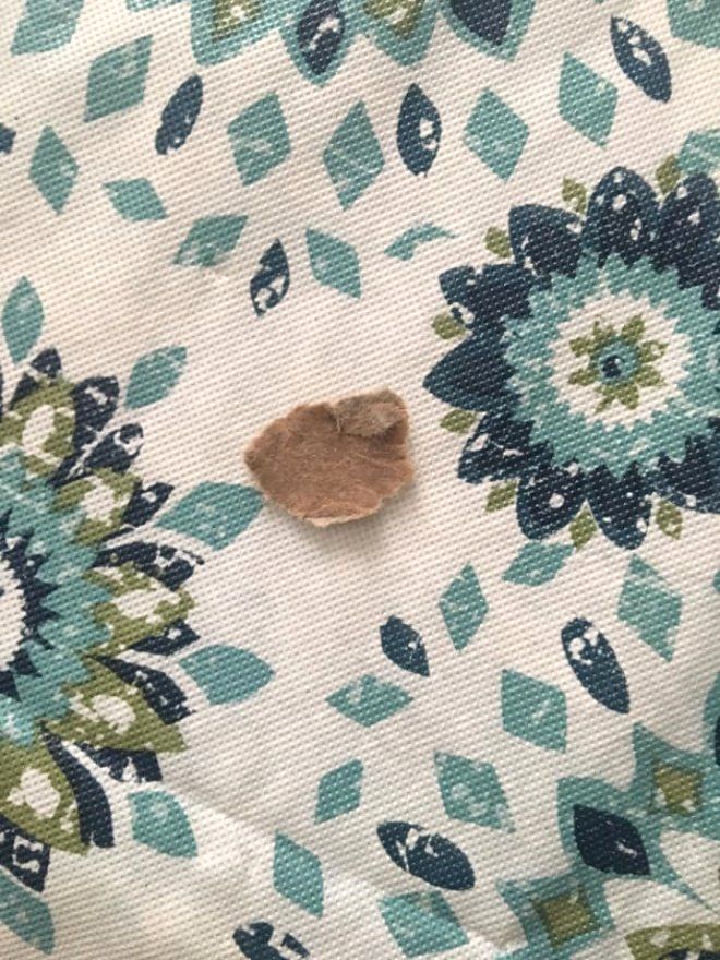 Bebeğin ağzındaki lekenin sebebini öğrenince yerin dibine girdi 5