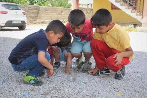 Vanlı ailenin korkulu rüyası! 'Her gün nöbet tutmak zorundayız' 4