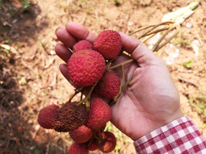 Aman dikkat! 10 günde 31 çocuğu art arda öldürdü 5