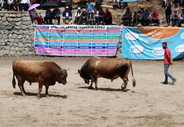 Rize'de ilginç anlar! Hakemler bile engel olamadı… 5