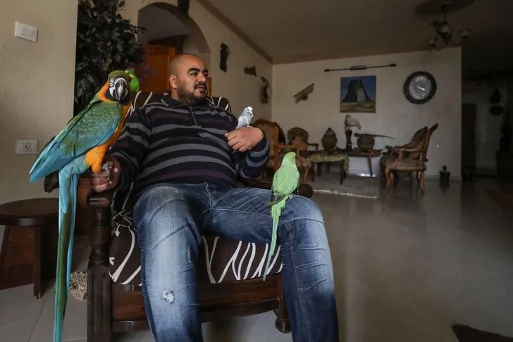 Ev değil hayvanat bahçesi! Her türden canlı var 9