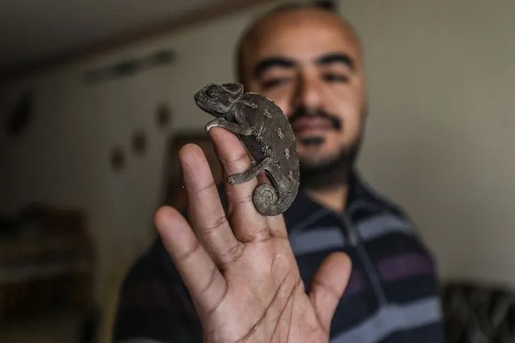 Ev değil hayvanat bahçesi! Her türden canlı var 8