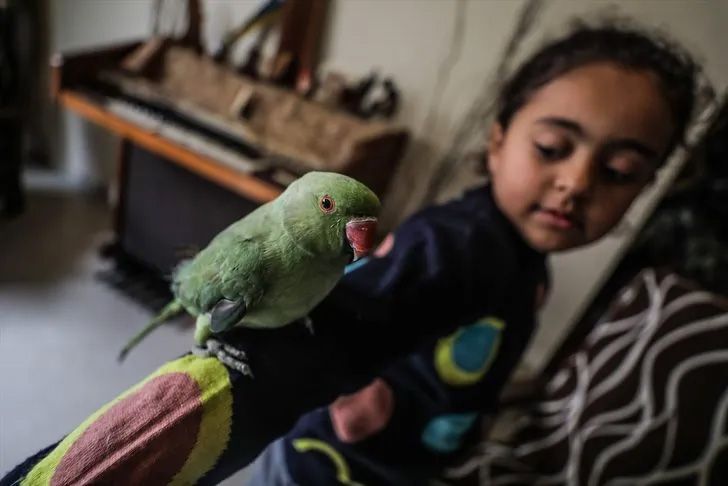 Ev değil hayvanat bahçesi! Her türden canlı var 6