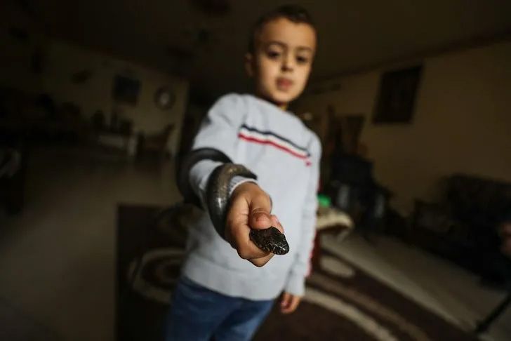 Ev değil hayvanat bahçesi! Her türden canlı var 5