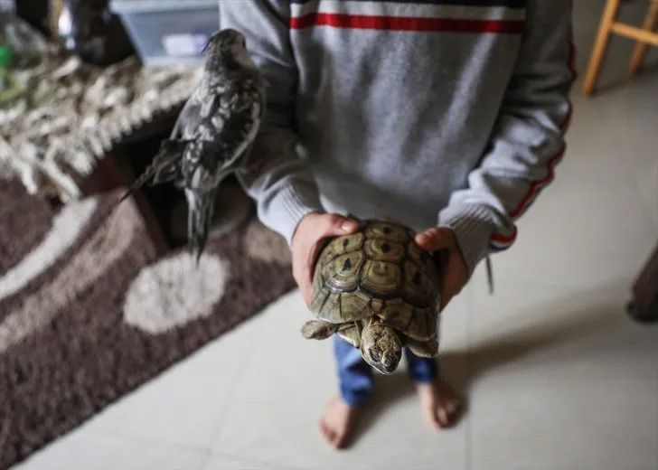 Ev değil hayvanat bahçesi! Her türden canlı var 4