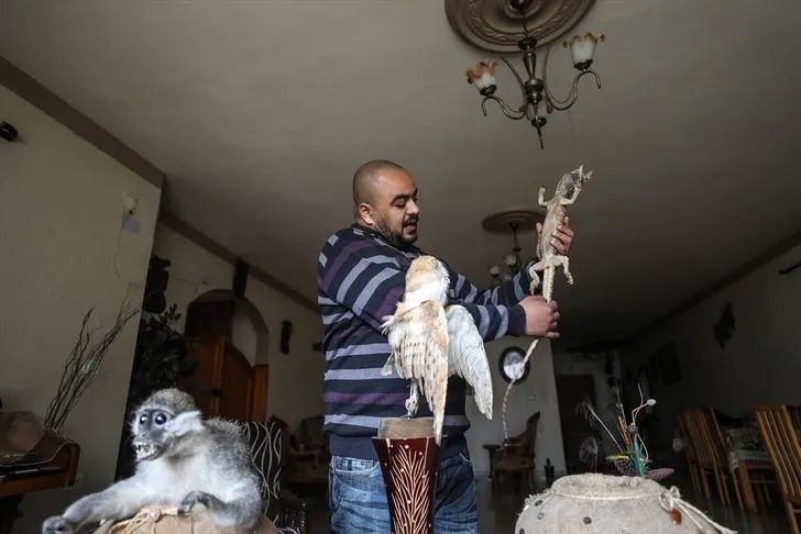 Ev değil hayvanat bahçesi! Her türden canlı var 2